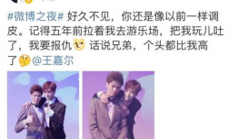 娱乐圈吃瓜双男主小说,瓜田里的甜蜜邂逅